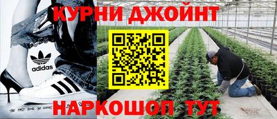 mdpv Татарск