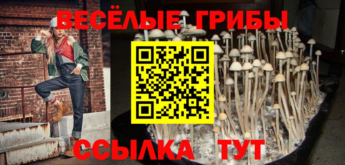 Галлюциногенные грибы ЛСД  Вход с VPN  Нововоронеж 