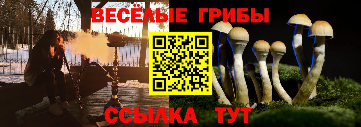 Галлюциногенные грибы мицелий Нововоронеж